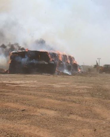 الحرائق جندوبة: إخماد عدد من الحرائق بمعتمديتي بوسالم وبلطة بوعوان