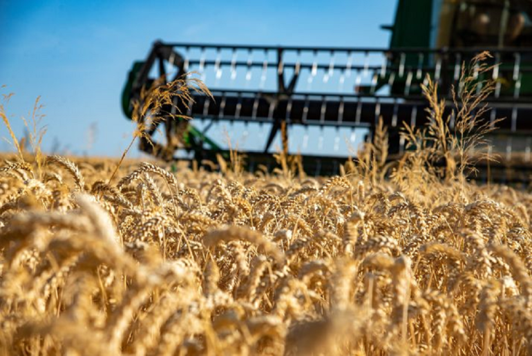 Sans titre 127 Filière céréalière : Un accord va être conclu entre le ministère de l'Agriculture et la BNA pour financer la production de blé dur