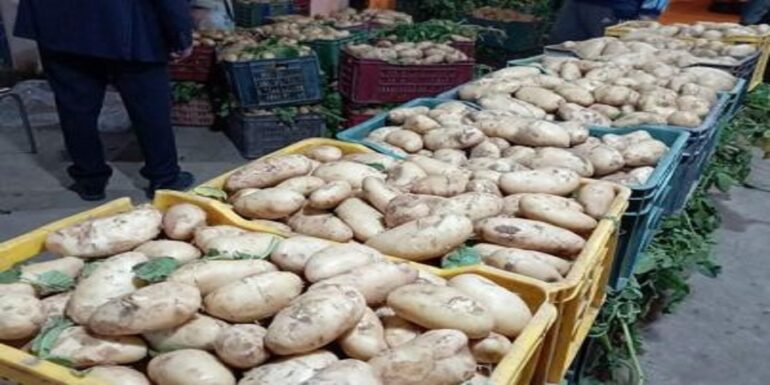 batata 2 ضخ 9 أطنان من البطاطا بسوق الجملة بالجم