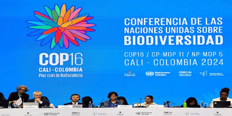 cop16 مؤتمر التنوع البيولوجي بكولومبيا ينتهي دون التوصل إلى اتفاق تمويل..