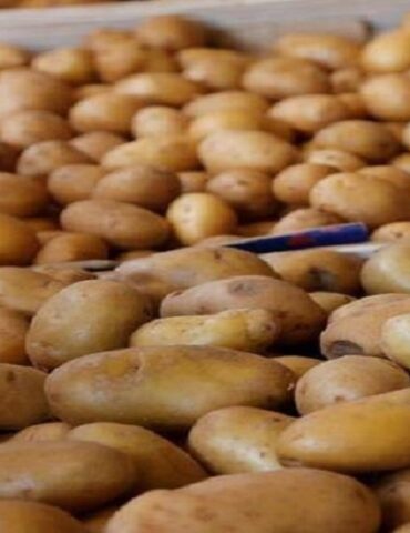 pomme مسؤول بوزارة التجارة يوضح بشأن نقص مادة البطاطا في السوق