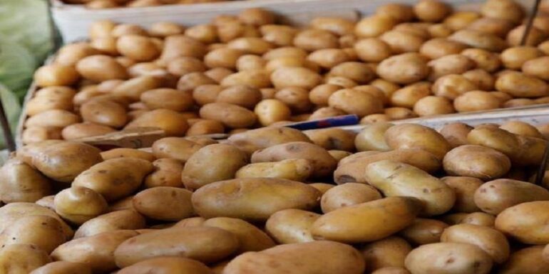 pomme مسؤول بوزارة التجارة يوضح بشأن نقص مادة البطاطا في السوق